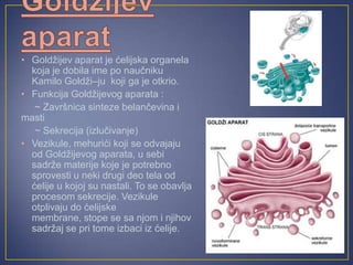 • Goldžijev aparat je ćelijska organela
  koja je dobila ime po naučniku
  Kamilo Goldži–ju koji ga je otkrio.
• Funkcija Goldžijevog aparata :
   ~ Završnica sinteze belančevina i
masti
   ~ Sekrecija (izlučivanje)
• Vezikule, mehurići koji se odvajaju
  od Goldžijevog aparata, u sebi
  sadrže materije koje je potrebno
  sprovesti u neki drugi deo tela od
  ćelije u kojoj su nastali. To se obavlja
  procesom sekrecije. Vezikule
  otplivaju do ćelijske
  membrane, stope se sa njom i njihov
  sadržaj se pri tome izbaci iz ćelije.
 