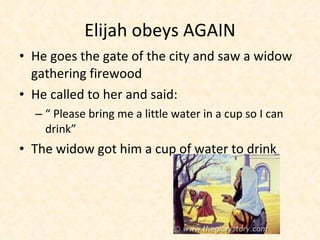 Elijah obeys AGAIN He goes the gate of the city and saw a widow gathering firewood He called to her and said: “ Please bring me a little water in a cup so I can drink” The widow got him a cup of water to drink 