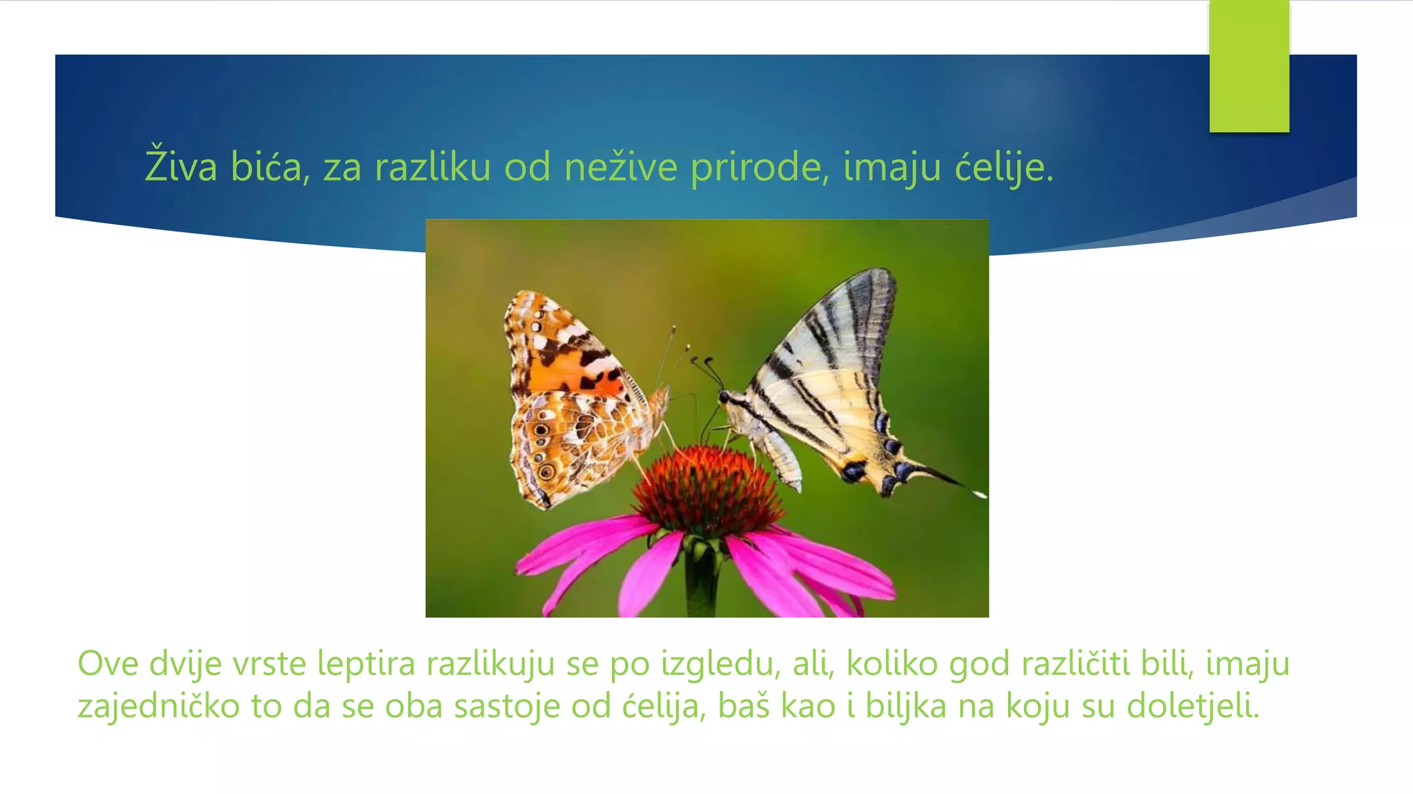 Ćelijska građa živih bića.pptx