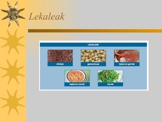 Lekaleak 