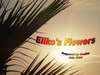 Eliko's Flowers