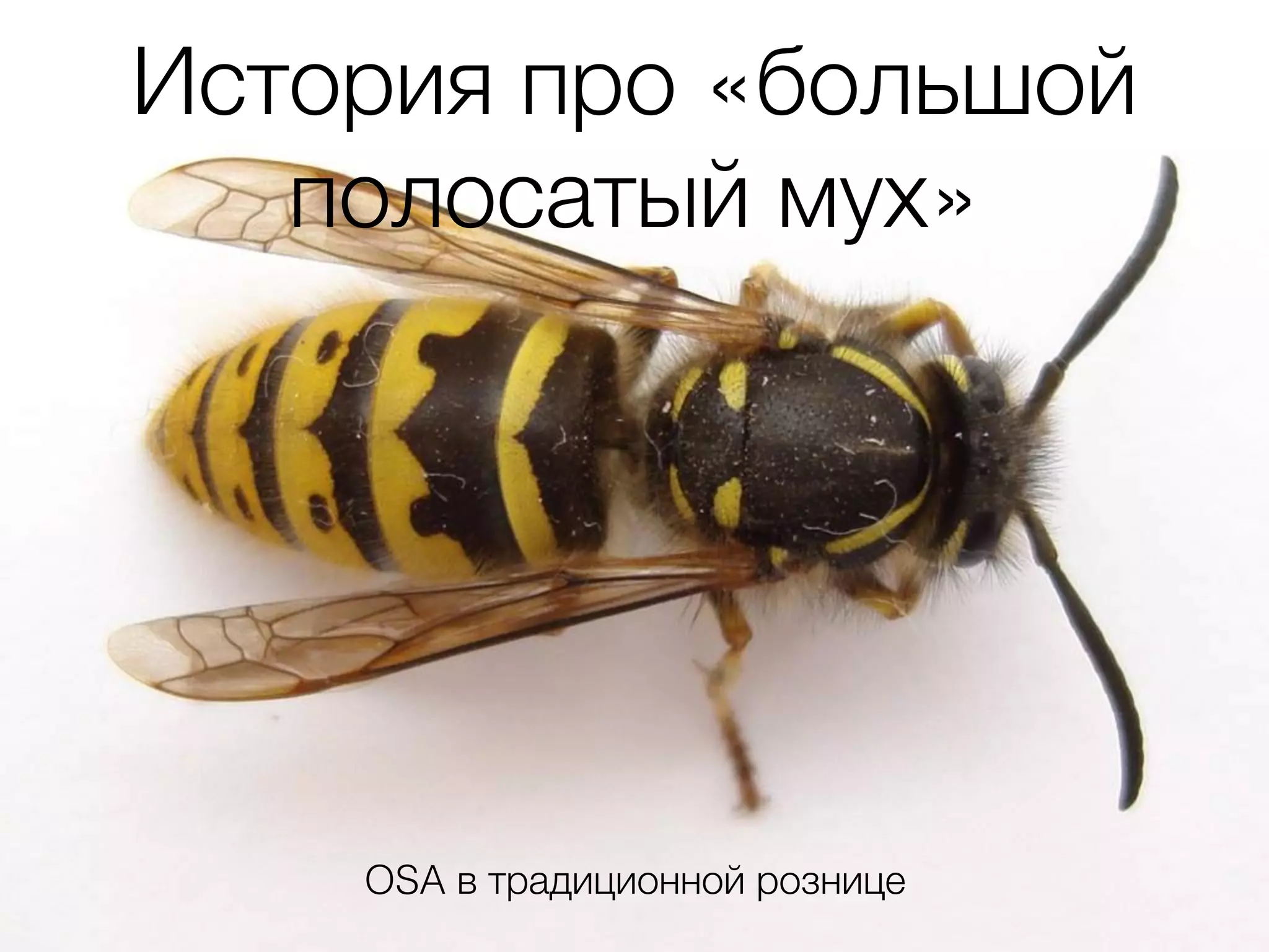 Slide 14