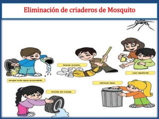Eliminación de criaderos de Mosquito 
 