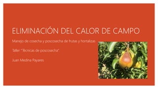 ELIMINACIÓN DEL CALOR DE CAMPO
Manejo de cosecha y poscosecha de frutas y hortalizas
Taller “Técnicas de poscosecha”.
Juan Medina Payares
 
