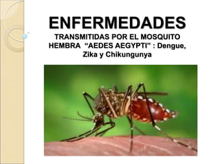 ENFERMEDADES
TRANSMITIDAS POR EL MOSQUITO
HEMBRA “AEDES AEGYPTI” : Dengue,
Zika y Chikungunya
 