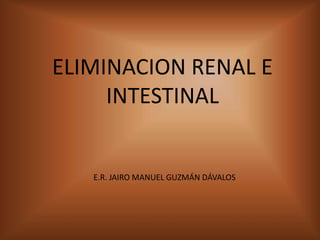 ELIMINACION RENAL E INTESTINAL E.R. JAIRO MANUEL GUZMÁN DÁVALOS 