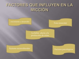 FACTORES QUE INFLUYEN EN LA MICCIÒNcrecimiento y desarrolloTono muscularLa fiebre  afecta a la producción de orina.Factores psicológicosFactores socioculturales