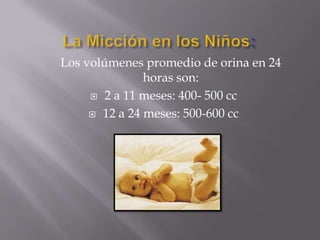 La Micción en los Niños:	Los volúmenes promedio de orina en 24 horas son: 2 a 11 meses: 400- 500 cc 12 a 24 meses: 500-600 cc 