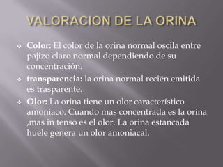VALORACION DE LA ORINAColor: El color de la orina normal oscila entre pajizo claro normal dependiendo de su concentración.