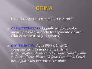 Olor: La orina tiene un olor característico amoniaco. Cuando mas concentrada es la orina ,mas in tenso es el olor. La orina estancada huele genera un olor amoniacal.Espuma: La orina normal agitada levemente produce cierta cantidad de espuma.