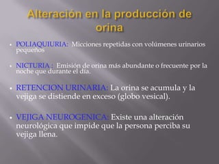 Peso o densidad: Relación que guardan los solutos y solventes de la orina. Valores 1,012 a 1,030.ORINALíquido orgánico excretado por el riñónCARACTERÍSTICAS:Líquido ácido de color amarillo pálido, aspecto transparente y claro. Olor característico (sui generis).COMPOSICIÓN:Agua (90%), Urea (2º componente más importante), Ácido úrico, Fosfatos,  Amilasa, Adrenalina, Noradrenalina, Calcio, Cobre, Plomo, Fósforo, Creatinina, Proteínas, Agua, Sales minerales, Urobilina.