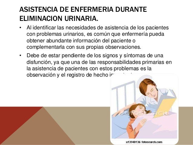 Eliminacion vesical fundamentosgarciakimberly