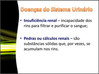 Insuficiência renal – incapacidade dos rins para filtrar e purificar o sangue;Pedras ou cálculos renais – são substâncias sólidas que, por vezes, se acumulam nos rins.Doenças do Sistema Urinário