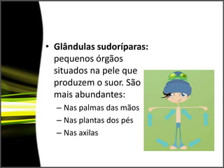 Terminações nervosas;