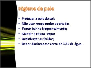 Glândulas sebáceas,