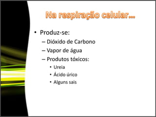 Na respiração celular…Produz-se:Dióxido de CarbonoVapor de águaProdutos tóxicos:UreiaÁcido úricoAlguns sais