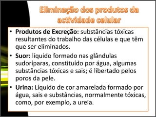 Eliminação dos produtos da actividade celularProdutos de Excreção: substâncias tóxicas resultantes do trabalho das células e que têm que ser eliminados.Suor: líquido formado nas glândulas sudoríparas, constituído por água, algumas substâncias tóxicas e sais; é libertado pelos poros da pele.Urina: Líquido de cor amarelada formado por água, sais e substâncias, normalmente tóxicas, como, por exemplo, a ureia.