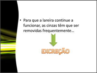 Para que a lareira continue a funcionar, as cinzas têm que ser removidas frequentemente…EXCREÇÃO