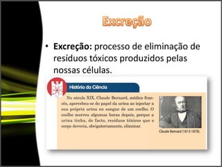 ExcreçãoExcreção: processo de eliminação de resíduos tóxicos produzidos pelas nossas células.
