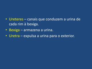 • Ureteres – canais que conduzem a urina de
cada rim à bexiga.
• Bexiga – armazena a urina.
• Uretra – expulsa a urina para o exterior.

 