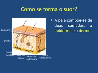 Como se forma o suor?
• A pele compõe-se de
duas camadas: a
epiderme e a derme.

Pelo
Poro
Epiderme

Derme

Glândula
sebácea

Folículo Glândula
piloso sudorípara

Vasos
sanguíneos

 