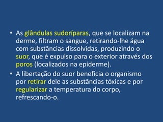 • As glândulas sudoríparas, que se localizam na
derme, filtram o sangue, retirando-lhe água
com substâncias dissolvidas, produzindo o
suor, que é expulso para o exterior através dos
poros (localizados na epiderme).
• A libertação do suor beneficia o organismo
por retirar dele as substâncias tóxicas e por
regularizar a temperatura do corpo,
refrescando-o.

 