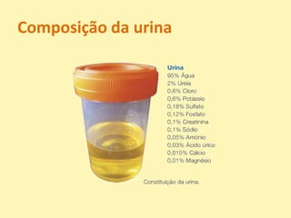 Composição da urina
 