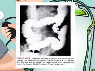 assess contour (flat, protuberant, globular)