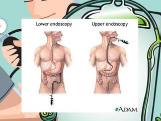 Hypoactive – 1 or 2 sounds in 2 mins.
