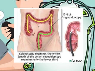 FECAL STUDIESFor blood, fat, infectious organismsA freshly passed, warm stool is the best specimen.