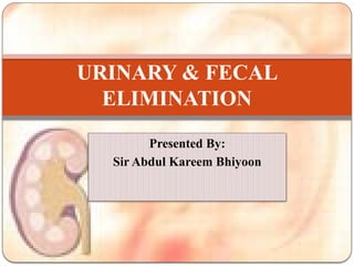 Comprehensive Guide to Urinary and Fecal Elimination Patterns and ...