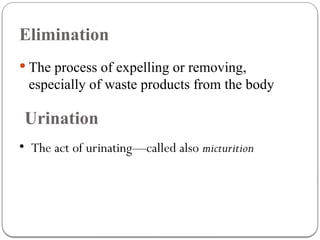 Comprehensive Guide to Urinary and Fecal Elimination Patterns and ...