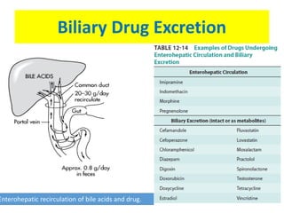 Biliary Drug Excretion
Enterohepatic recirculation of bile acids and drug.
 