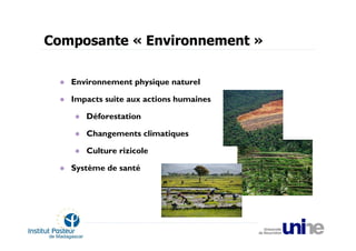 Composante « Environnement »

   Environnement physique naturel

   Impacts suite aux actions humaines

      Déforestation

      Changements climatiques

      Culture rizicole

   Système de santé
 