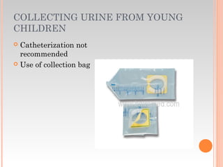 COLLECTING URINE FROM YOUNG
CHILDREN
 Catheterization not
recommended
 Use of collection bag
 