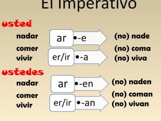 El Imperativo
usted
nadar

(no) nade

comer
vivir

(no) coma
(no) viva

ustedes
nadar

(no) naden

comer
vivir

(no) coman
(no) vivan

 