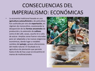 CONSECUENCIAS DEL IMPERIALISMO: ECONÓMICAS La economía tradicional basada en una  agricultura autosuficiente  y de policultivo fue sustituida por otra de  exportación,  en régimen de monocultivo, ocasionando la desaparición de las  formas ancestrales  de producción y la extensión de  cultivos  como el del café, cacao, caucho té o caña de azúcar. Amplias zonas fueron roturadas para ser adaptadas a las nuevas exigencias económicas, dando lugar a notables cambios del  paisaje  y graves alteraciones del medio natural. El resultado es la agricultura de plantación que persiste hasta el día de hoy y que se encuentra en manos de multinacionales. 