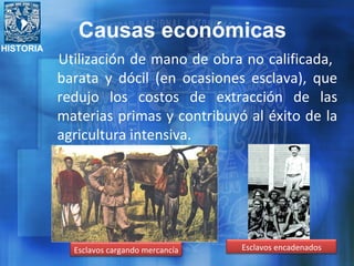 HISTORIA
Utilización de mano de obra no calificada,
barata y dócil (en ocasiones esclava), que
redujo los costos de extracción de las
materias primas y contribuyó al éxito de la
agricultura intensiva.
Esclavos encadenadosEsclavos cargando mercancía
Causas económicas
 