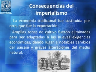 HISTORIA
Consecuencias del
imperialismo
La economía tradicional fue sustituida por
otra, que fue la exportación.
Amplias zonas de cultivo fueron eliminadas
para ser adaptadas a las nuevas exigencias
económicas, dando lugar a notables cambios
del paisaje y graves alteraciones del medio
natural.
 