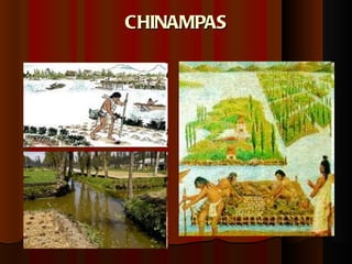 CHINAMPAS 