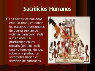 Sacrificios Humanos Los sacrificios humanos eran un ritual, en donde los esclavos o prisioneros de guerra servían de víctimas para congratular a los dioses. La practicaban en los teocalis (teo: los, cali: casa) o templos, donde, sobre una piedra, los sacerdotes hacían el sacrificio de corazones.  