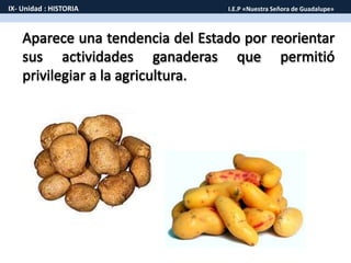 IX- Unidad : HISTORIA I.E.P «Nuestra Señora de Guadalupe»