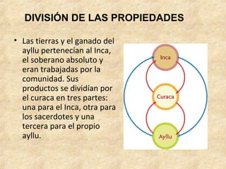DIVISIÓN DE LAS PROPIEDADES 
• Las tierras y el ganado del 
ayllu pertenecían al Inca, 
el soberano absoluto y 
eran trabajadas por la 
comunidad. Sus 
productos se dividían por 
el curaca en tres partes: 
una para el Inca, otra para 
los sacerdotes y una 
tercera para el propio 
ayllu. 
 