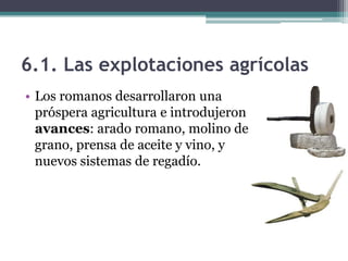 6.1. Las explotaciones agrícolas
• Los romanos desarrollaron una
  próspera agricultura e introdujeron
  avances: arado romano, molino de
  grano, prensa de aceite y vino, y
  nuevos sistemas de regadío.
 