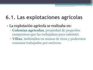 6.1. Las explotaciones agrícolas
• La explotación agrícola se realizaba en:
 ▫ Colonias agrícolas, propiedad de pequeños
   campesinos que las trabajaban para subsistir.
 ▫ Villas, latifundios en manos de ricos y poderosos
   romanos trabajados por esclavos.
 