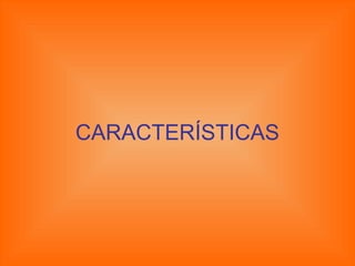 CARACTERÍSTICAS 