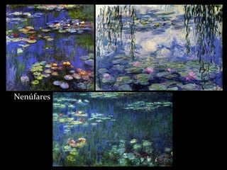 Nenúfares
 