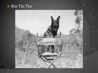  Rin Tin Tin
 