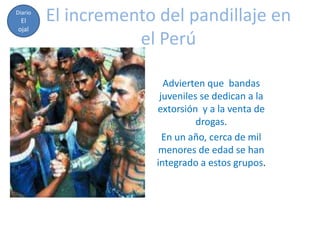 Diario
 El      El incremento del pandillaje en
ojal
                    el Perú

                         Advierten que bandas
                        juveniles se dedican a la
                       extorsión y a la venta de
                                 drogas.
                         En un año, cerca de mil
                        menores de edad se han
                       integrado a estos grupos.
 