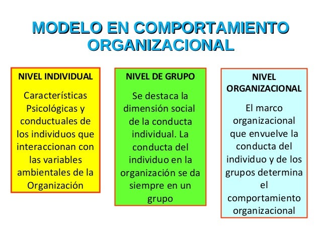Comportamiento individual en las organizaciones